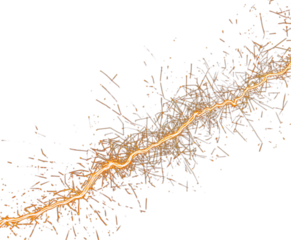 Neural path PNG glowing golden light pattern on white background