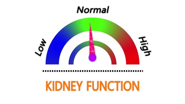 Kidney Function working processes Kidney Health condition Monitoring Concept.
