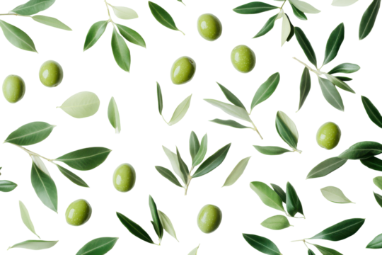 Fresh green olives with leaves isolated on transparent background. Green olives with leaves isolated on white background. - Powered by Adobe