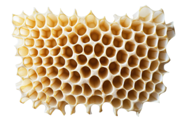 Honeycomb structure with hexagonal cells isolated on transparent background. Honeycombs isolated on white background.