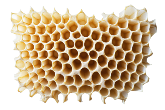 Honeycomb structure with hexagonal cells isolated on transparent background. Honeycombs isolated on white background.