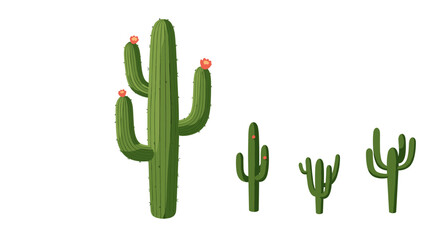 Vibrant cactus collection with flowers on white background