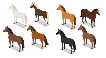 Isometric horse collection: diverse breeds in flat design for creative use