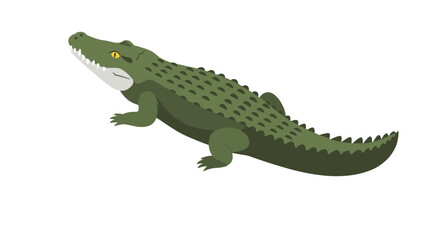 Fototapeta premium Flat style crocodile design on white background