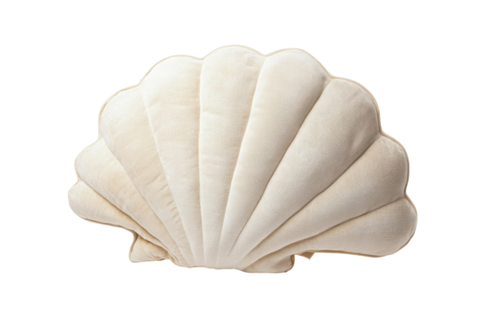 White scallop shell isolated on transparent background. Seashell shaped decorative pillow isolated on white background.