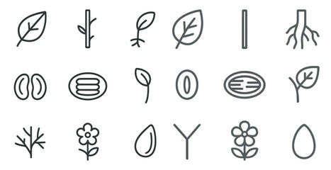 Botanical line icons set &ndash; outline, linear, plant and nature symbols collection
