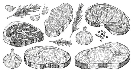 A collection of hand-drawn raw meat cuts like t-bone and sirloin steak with fresh garlic, pepper, and rosemary for culinary preparation © Avra