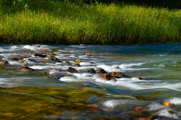 Whitewater rapids in North Chickamauga Creek in Chattanooga, Tennesse, with early morning sunlight making the thick reeds glow a golden color