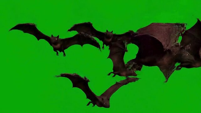 3D rendered animation depicting a large group of bats flying erratically across the green screen.