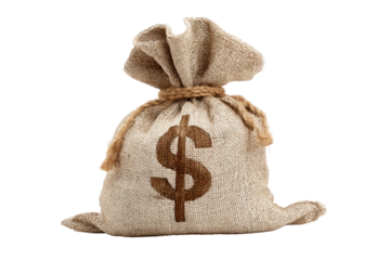 Money bag with dollar sign, symbol of wealth and financial success