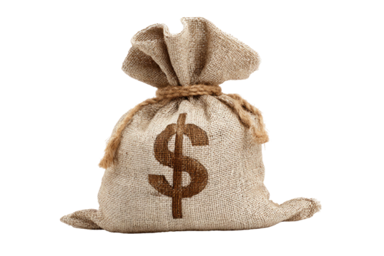 Money bag with dollar sign, symbol of wealth and financial success