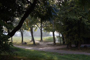 Early morning in a park, sunlight breaks through fog in Vilnius, Lithuania illuminating a green grassy area
