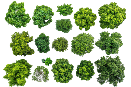 Collection of small green bushes and trees isolated on transparent background. Aerial view of various lush green trees showcasing diverse shapes and sizes isolated on white background.