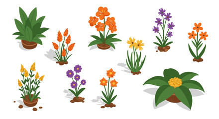 Isometric potted plants and flowers collection on white background