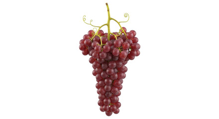 Isolated bunch of red grapes hanging, fresh fruit, healthy eating, natural food, vitamins