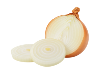 Isolated half onion bulb with two round slices lying flat on a surface close to each other