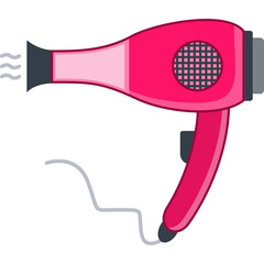 Electric Hair Dryer