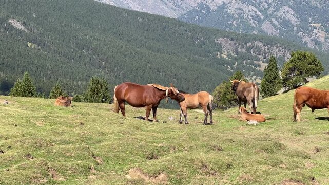 Andorra in den Bergen