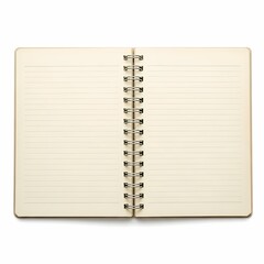 Ornate Golden Baroque Picture Frame with Elaborate Carvings Isolated on White Background