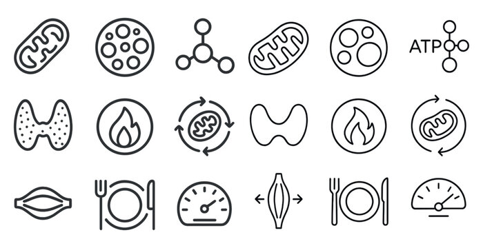 Biology line icons set &ndash; scientific symbols, diagrams and science concepts