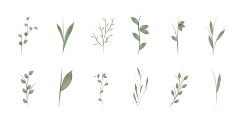A collection of watercolor floral stems are displayed. These stems show different arrangements of leaves and branch shapes, with a minimalist design on a white background.