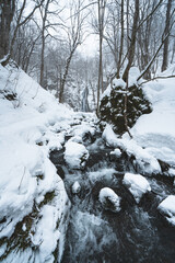 Winter mountain stream leading to a frozen waterfall, framed by snowy trees and rocks, portraying the breathtaking calm of Japan’s icy landscape.