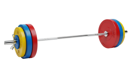 Isolated barbell with multicolored weight plates for weightlifting workout training tool