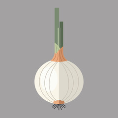 Flat White Onion Vector with Green Stems