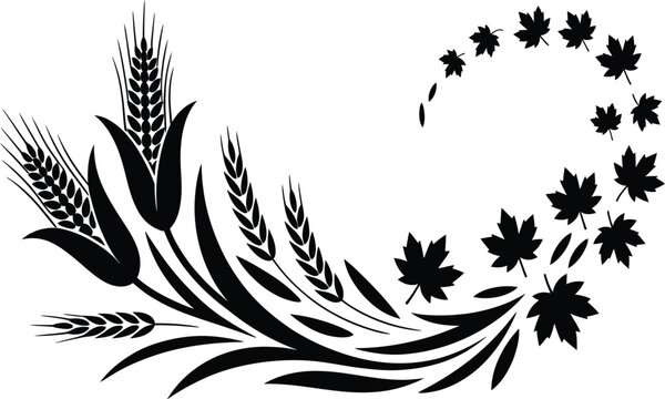 Elegant wheat and maple leaves design element for autumn harvest celebrations, Thanksgiving cards, and seasonal invitations with a modern, minimalist touch
