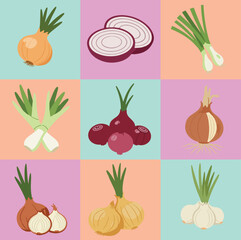 set illustration vector graphic of various types of onions