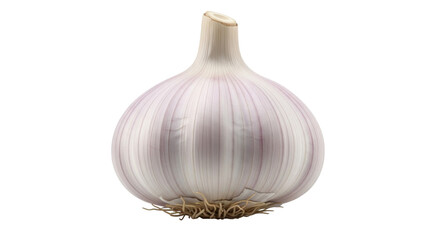 Isolated bulb of fresh garlic, cooking ingredient for healthy diet and flavoring food
