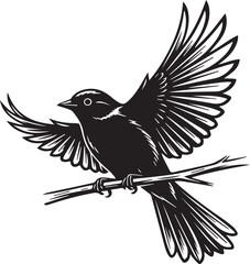 Black and White Bird on Branch with Spread Wings