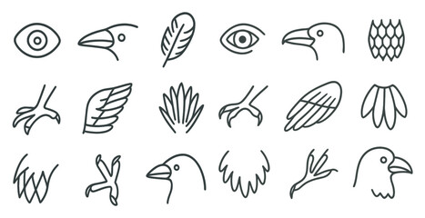 Bird watching line icons set – outline, avian, nature and wildlife symbols