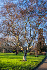 St Nicolas Park Warwick Warwickshire England UK, Alongside River Avon.