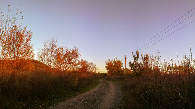 Old country lane in a serene fall landscape evoking a peaceful memory of simpler times - Powered by Adobe