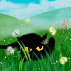cat on the grass