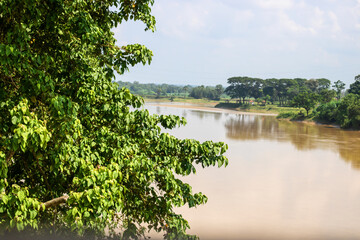 Discover peaceful serenity by a muddy riverbank with lush green trees under a sunny sky, perfect for nature scenery and relaxation themes
