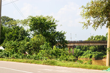 Discover tranquil river bridge scene with lush greenery along roadside, perfect for travel blogs and nature documentaries, capture the serene beauty today