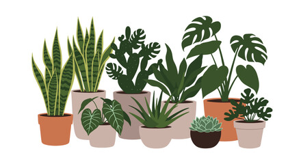 Obraz premium A curated collection of vibrant potted houseplants arranged artfully.