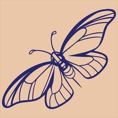 big size butterfly with silhouette style pro vector colorful design on colorful background