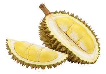 Fototapeta premium Isolated Durian, King of Fruits, an exotic and spiky food with a pungent odor taste delight