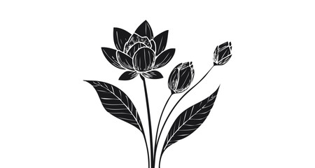 Obraz premium A detailed black silhouette illustration of an elegant floral