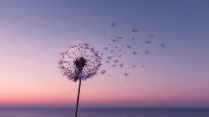 Fototapeta premium Dandelion seed head with dispersing seeds against a pastel sky backdrop