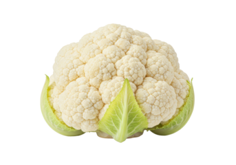 Isolated cauliflower, fresh vegetable, raw food, vegetarian ingredient, cooking at home