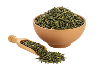 Isolated Sencha green tea leaves in wooden bowl and scoop ready for brewing a healthy beverage