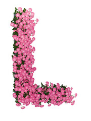 Letter L Pink Rose Floral Typography, 3D render
