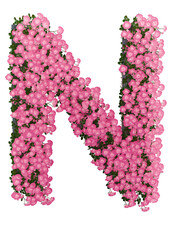 Letter N Pink Rose Floral Typography, 3D render