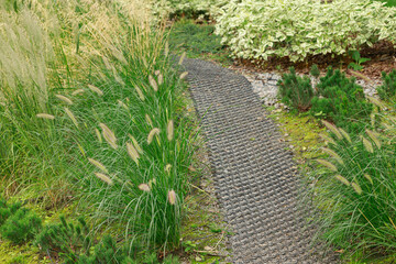 floral garden nature design trail in high wild grass environment local scenic space