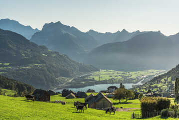 Alpine landscape overlooking Lake Walensee near Amden, Canton of St. Gallen, Switzerland