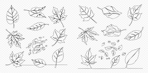 Continuous line art drawing of various autumn leaves falling and resting, showcasing different shapes and states of foliage in a minimalist style.
